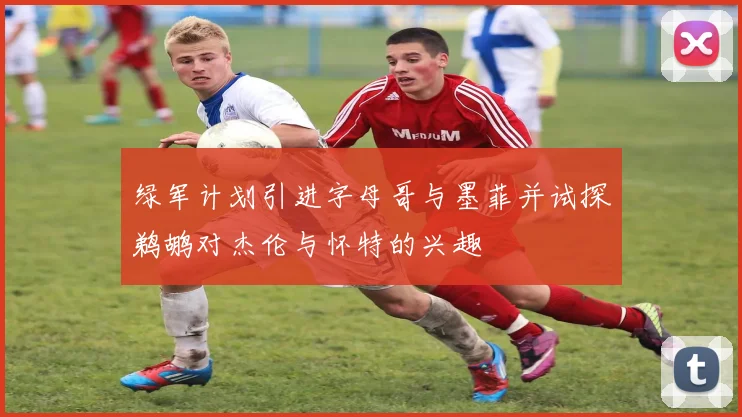 绿军计划引进字母哥与墨菲并试探鹈鹕对杰伦与怀特的兴趣
